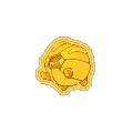 Golden Glorious Shelgon